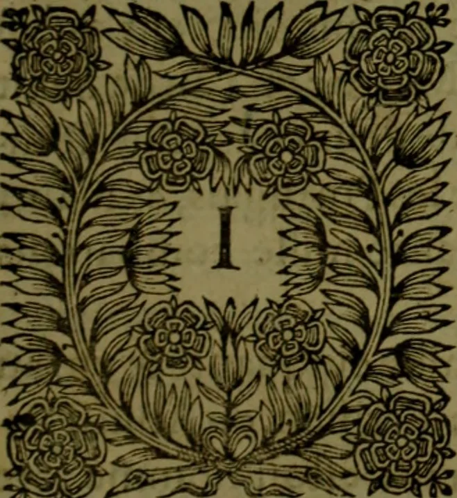 An illustration from Histoire de Barbarie, et de ses Corsaires. Des royavmes, et des villes d'Alger, de Tvnis, de Salé, [et] de Tripoly. Divisée en six livres. Ov il est traitté de levr govvernement, de leurs moeurs, de leurs cruautez, de leurs brigandages, de leurs sortileges, [et] de plusieurs autres particularitez remarquables. Ensemble des grandes miseres et des crvels tourmens qu'endurent les Chrestiens captifs parmy ces infideles, 1649, leaf 268