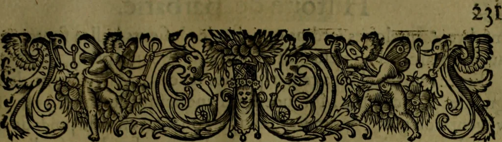 An illustration from Histoire de Barbarie, et de ses Corsaires. Des royavmes, et des villes d'Alger, de Tvnis, de Salé, [et] de Tripoly. Divisée en six livres. Ov il est traitté de levr govvernement, de leurs moeurs, de leurs cruautez, de leurs brigandages, de leurs sortileges, [et] de plusieurs autres particularitez remarquables. Ensemble des grandes miseres et des crvels tourmens qu'endurent les Chrestiens captifs parmy ces infideles, 1649, leaf 272