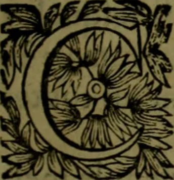 An illustration from Histoire de Barbarie, et de ses Corsaires. Des royavmes, et des villes d'Alger, de Tvnis, de Salé, [et] de Tripoly. Divisée en six livres. Ov il est traitté de levr govvernement, de leurs moeurs, de leurs cruautez, de leurs brigandages, de leurs sortileges, [et] de plusieurs autres particularitez remarquables. Ensemble des grandes miseres et des crvels tourmens qu'endurent les Chrestiens captifs parmy ces infideles, 1649, leaf 272