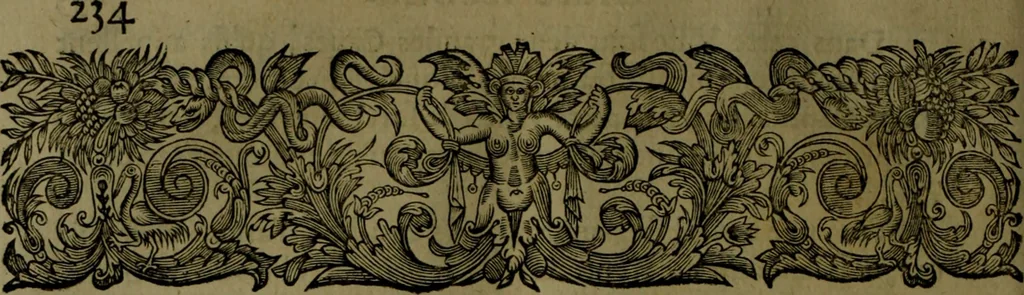 An illustration from Histoire de Barbarie, et de ses Corsaires. Des royavmes, et des villes d'Alger, de Tvnis, de Salé, [et] de Tripoly. Divisée en six livres. Ov il est traitté de levr govvernement, de leurs moeurs, de leurs cruautez, de leurs brigandages, de leurs sortileges, [et] de plusieurs autres particularitez remarquables. Ensemble des grandes miseres et des crvels tourmens qu'endurent les Chrestiens captifs parmy ces infideles, 1649, leaf 275