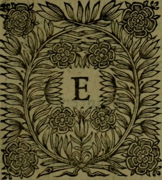 An illustration from Histoire de Barbarie, et de ses Corsaires. Des royavmes, et des villes d'Alger, de Tvnis, de Salé, [et] de Tripoly. Divisée en six livres. Ov il est traitté de levr govvernement, de leurs moeurs, de leurs cruautez, de leurs brigandages, de leurs sortileges, [et] de plusieurs autres particularitez remarquables. Ensemble des grandes miseres et des crvels tourmens qu'endurent les Chrestiens captifs parmy ces infideles, 1649, leaf 286