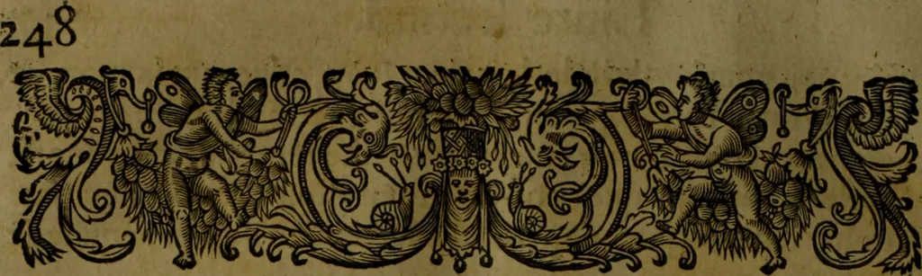 An illustration from Histoire de Barbarie, et de ses Corsaires. Des royavmes, et des villes d'Alger, de Tvnis, de Salé, [et] de Tripoly. Divisée en six livres. Ov il est traitté de levr govvernement, de leurs moeurs, de leurs cruautez, de leurs brigandages, de leurs sortileges, [et] de plusieurs autres particularitez remarquables. Ensemble des grandes miseres et des crvels tourmens qu'endurent les Chrestiens captifs parmy ces infideles, 1649, leaf 289