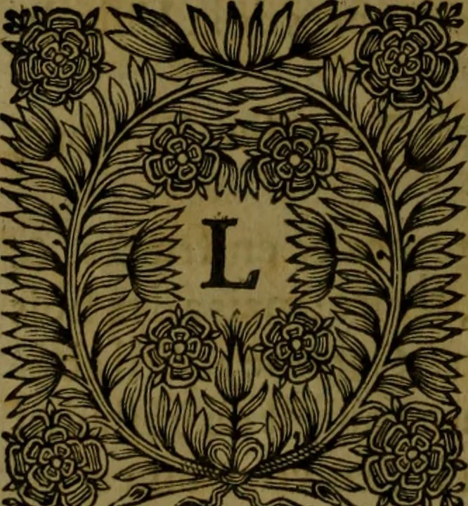 An illustration from Histoire de Barbarie, et de ses Corsaires. Des royavmes, et des villes d'Alger, de Tvnis, de Salé, [et] de Tripoly. Divisée en six livres. Ov il est traitté de levr govvernement, de leurs moeurs, de leurs cruautez, de leurs brigandages, de leurs sortileges, [et] de plusieurs autres particularitez remarquables. Ensemble des grandes miseres et des crvels tourmens qu'endurent les Chrestiens captifs parmy ces infideles, 1649, leaf 289