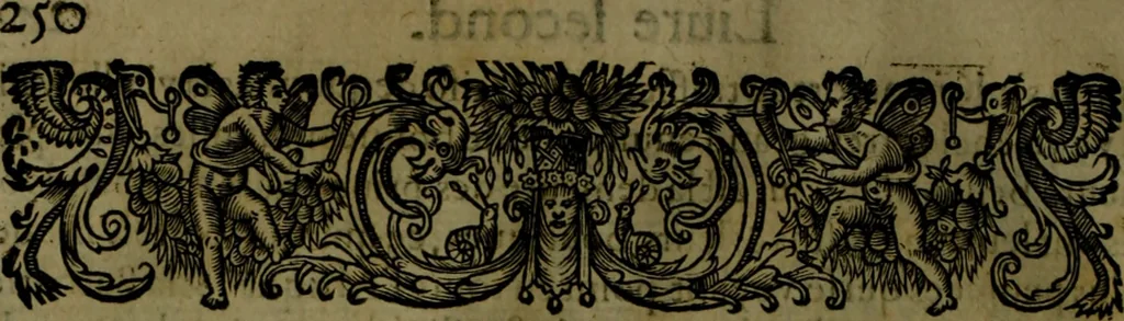 An illustration from Histoire de Barbarie, et de ses Corsaires. Des royavmes, et des villes d'Alger, de Tvnis, de Salé, [et] de Tripoly. Divisée en six livres. Ov il est traitté de levr govvernement, de leurs moeurs, de leurs cruautez, de leurs brigandages, de leurs sortileges, [et] de plusieurs autres particularitez remarquables. Ensemble des grandes miseres et des crvels tourmens qu'endurent les Chrestiens captifs parmy ces infideles, 1649, leaf 291