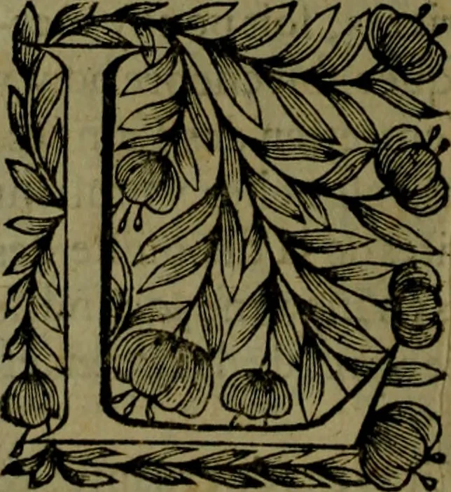 An illustration from Histoire de Barbarie, et de ses Corsaires. Des royavmes, et des villes d'Alger, de Tvnis, de Salé, [et] de Tripoly. Divisée en six livres. Ov il est traitté de levr govvernement, de leurs moeurs, de leurs cruautez, de leurs brigandages, de leurs sortileges, [et] de plusieurs autres particularitez remarquables. Ensemble des grandes miseres et des crvels tourmens qu'endurent les Chrestiens captifs parmy ces infideles, 1649, leaf 291