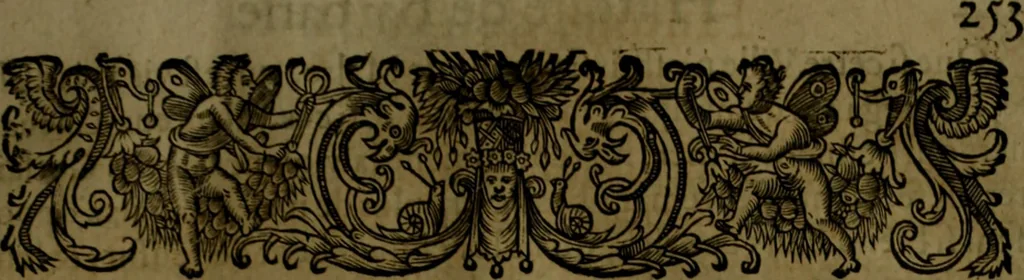 An illustration from Histoire de Barbarie, et de ses Corsaires. Des royavmes, et des villes d'Alger, de Tvnis, de Salé, [et] de Tripoly. Divisée en six livres. Ov il est traitté de levr govvernement, de leurs moeurs, de leurs cruautez, de leurs brigandages, de leurs sortileges, [et] de plusieurs autres particularitez remarquables. Ensemble des grandes miseres et des crvels tourmens qu'endurent les Chrestiens captifs parmy ces infideles, 1649, leaf 294