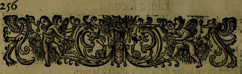 An illustration from Histoire de Barbarie, et de ses Corsaires. Des royavmes, et des villes d'Alger, de Tvnis, de Salé, [et] de Tripoly. Divisée en six livres. Ov il est traitté de levr govvernement, de leurs moeurs, de leurs cruautez, de leurs brigandages, de leurs sortileges, [et] de plusieurs autres particularitez remarquables. Ensemble des grandes miseres et des crvels tourmens qu'endurent les Chrestiens captifs parmy ces infideles, 1649, leaf 297