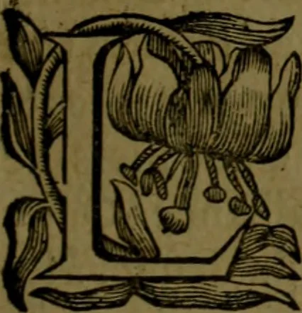 An illustration from Histoire de Barbarie, et de ses Corsaires. Des royavmes, et des villes d'Alger, de Tvnis, de Salé, [et] de Tripoly. Divisée en six livres. Ov il est traitté de levr govvernement, de leurs moeurs, de leurs cruautez, de leurs brigandages, de leurs sortileges, [et] de plusieurs autres particularitez remarquables. Ensemble des grandes miseres et des crvels tourmens qu'endurent les Chrestiens captifs parmy ces infideles, 1649, leaf 300