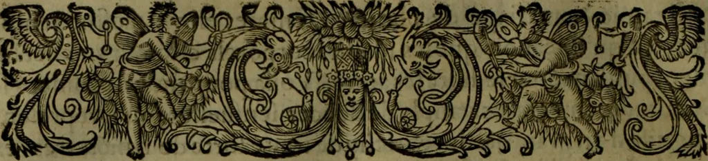 An illustration from Histoire de Barbarie, et de ses Corsaires. Des royavmes, et des villes d'Alger, de Tvnis, de Salé, [et] de Tripoly. Divisée en six livres. Ov il est traitté de levr govvernement, de leurs moeurs, de leurs cruautez, de leurs brigandages, de leurs sortileges, [et] de plusieurs autres particularitez remarquables. Ensemble des grandes miseres et des crvels tourmens qu'endurent les Chrestiens captifs parmy ces infideles, 1649, leaf 319