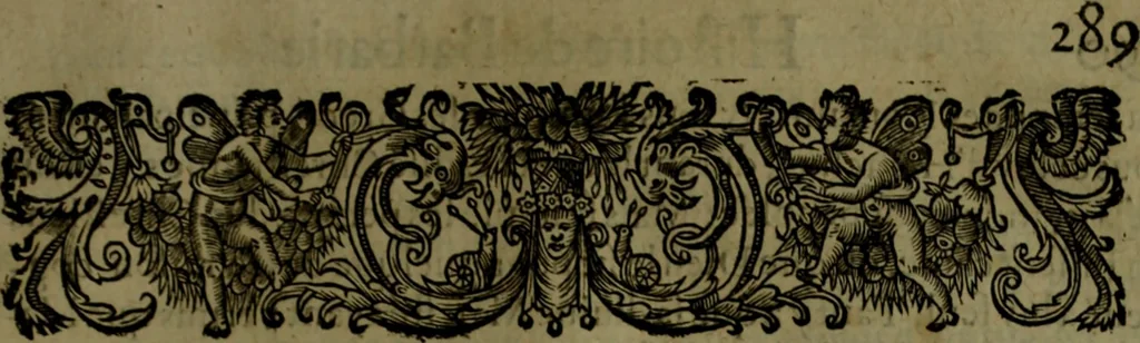 An illustration from Histoire de Barbarie, et de ses Corsaires. Des royavmes, et des villes d'Alger, de Tvnis, de Salé, [et] de Tripoly. Divisée en six livres. Ov il est traitté de levr govvernement, de leurs moeurs, de leurs cruautez, de leurs brigandages, de leurs sortileges, [et] de plusieurs autres particularitez remarquables. Ensemble des grandes miseres et des crvels tourmens qu'endurent les Chrestiens captifs parmy ces infideles, 1649, leaf 330