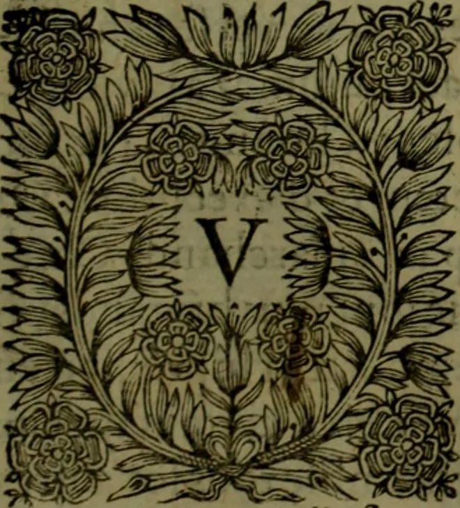 An illustration from Histoire de Barbarie, et de ses Corsaires. Des royavmes, et des villes d'Alger, de Tvnis, de Salé, [et] de Tripoly. Divisée en six livres. Ov il est traitté de levr govvernement, de leurs moeurs, de leurs cruautez, de leurs brigandages, de leurs sortileges, [et] de plusieurs autres particularitez remarquables. Ensemble des grandes miseres et des crvels tourmens qu'endurent les Chrestiens captifs parmy ces infideles, 1649, leaf 338