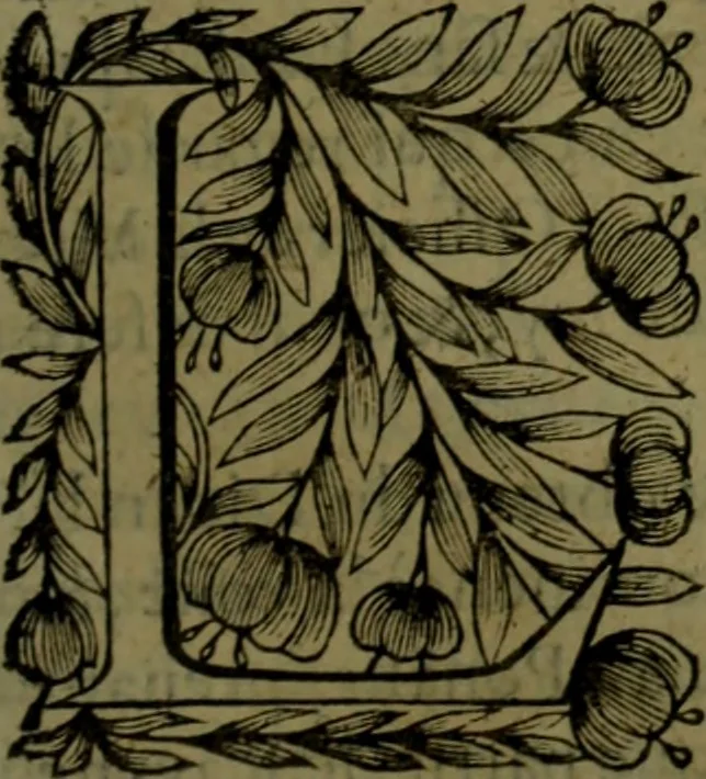An illustration from Histoire de Barbarie, et de ses Corsaires. Des royavmes, et des villes d'Alger, de Tvnis, de Salé, [et] de Tripoly. Divisée en six livres. Ov il est traitté de levr govvernement, de leurs moeurs, de leurs cruautez, de leurs brigandages, de leurs sortileges, [et] de plusieurs autres particularitez remarquables. Ensemble des grandes miseres et des crvels tourmens qu'endurent les Chrestiens captifs parmy ces infideles, 1649, leaf 340