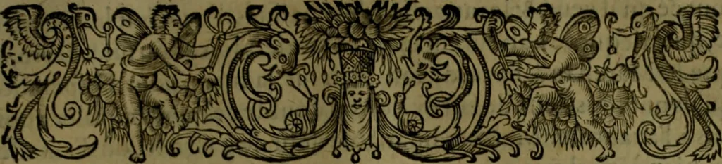 An illustration from Histoire de Barbarie, et de ses Corsaires. Des royavmes, et des villes d'Alger, de Tvnis, de Salé, [et] de Tripoly. Divisée en six livres. Ov il est traitté de levr govvernement, de leurs moeurs, de leurs cruautez, de leurs brigandages, de leurs sortileges, [et] de plusieurs autres particularitez remarquables. Ensemble des grandes miseres et des crvels tourmens qu'endurent les Chrestiens captifs parmy ces infideles, 1649, leaf 340