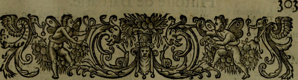 An illustration from Histoire de Barbarie, et de ses Corsaires. Des royavmes, et des villes d'Alger, de Tvnis, de Salé, [et] de Tripoly. Divisée en six livres. Ov il est traitté de levr govvernement, de leurs moeurs, de leurs cruautez, de leurs brigandages, de leurs sortileges, [et] de plusieurs autres particularitez remarquables. Ensemble des grandes miseres et des crvels tourmens qu'endurent les Chrestiens captifs parmy ces infideles, 1649, leaf 346