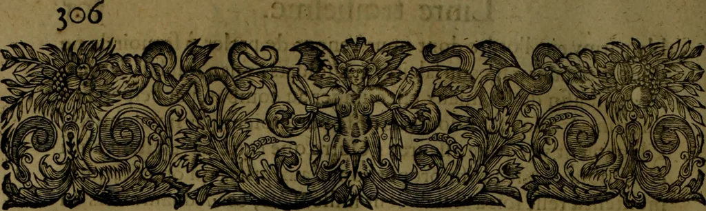 An illustration from Histoire de Barbarie, et de ses Corsaires. Des royavmes, et des villes d'Alger, de Tvnis, de Salé, [et] de Tripoly. Divisée en six livres. Ov il est traitté de levr govvernement, de leurs moeurs, de leurs cruautez, de leurs brigandages, de leurs sortileges, [et] de plusieurs autres particularitez remarquables. Ensemble des grandes miseres et des crvels tourmens qu'endurent les Chrestiens captifs parmy ces infideles, 1649, leaf 349