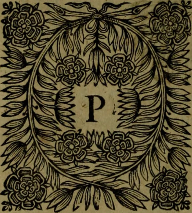 An illustration from Histoire de Barbarie, et de ses Corsaires. Des royavmes, et des villes d'Alger, de Tvnis, de Salé, [et] de Tripoly. Divisée en six livres. Ov il est traitté de levr govvernement, de leurs moeurs, de leurs cruautez, de leurs brigandages, de leurs sortileges, [et] de plusieurs autres particularitez remarquables. Ensemble des grandes miseres et des crvels tourmens qu'endurent les Chrestiens captifs parmy ces infideles, 1649, leaf 349