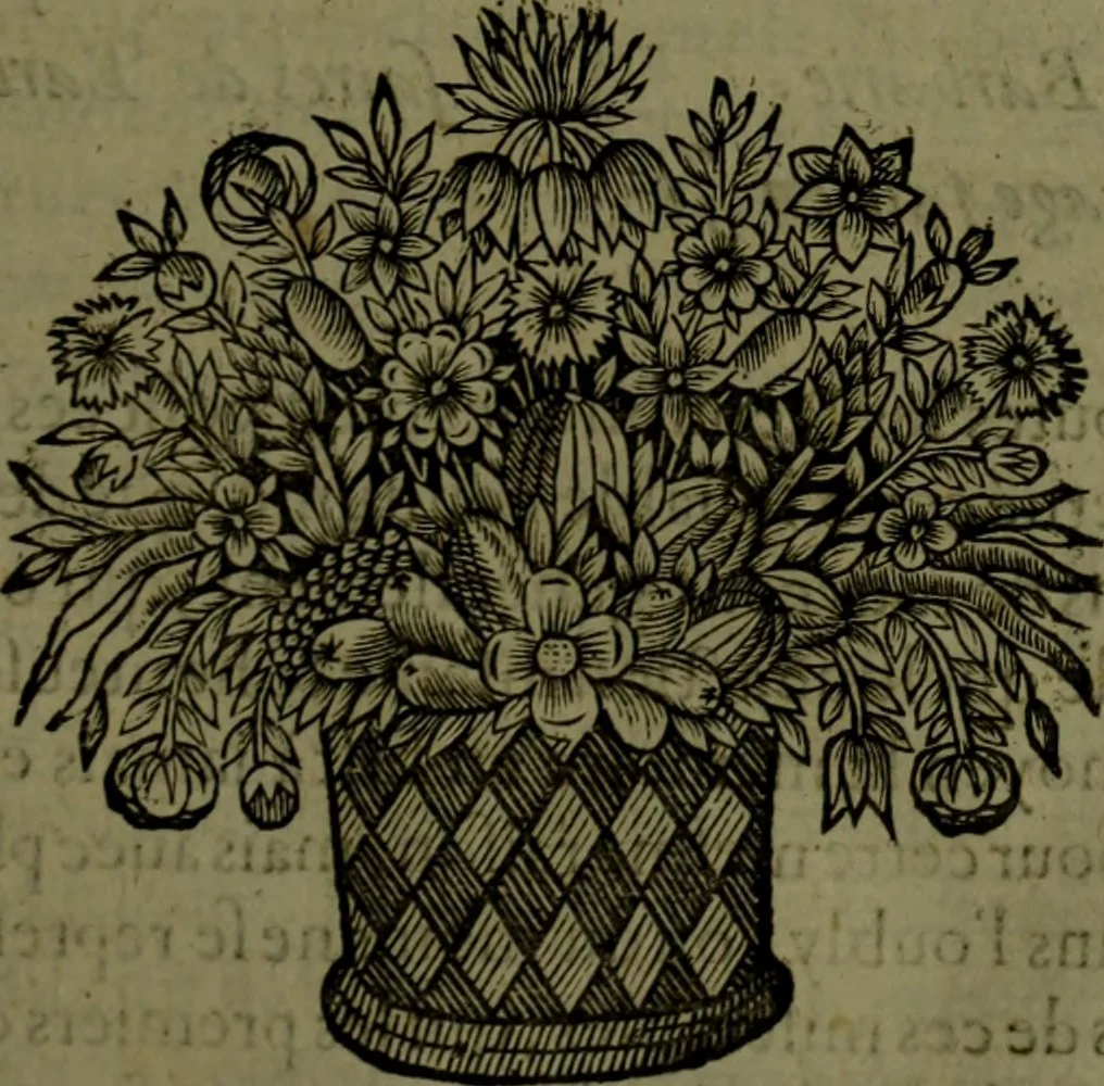An illustration from Histoire de Barbarie, et de ses Corsaires. Des royavmes, et des villes d'Alger, de Tvnis, de Salé, [et] de Tripoly. Divisée en six livres. Ov il est traitté de levr govvernement, de leurs moeurs, de leurs cruautez, de leurs brigandages, de leurs sortileges, [et] de plusieurs autres particularitez remarquables. Ensemble des grandes miseres et des crvels tourmens qu'endurent les Chrestiens captifs parmy ces infideles, 1649, leaf 352