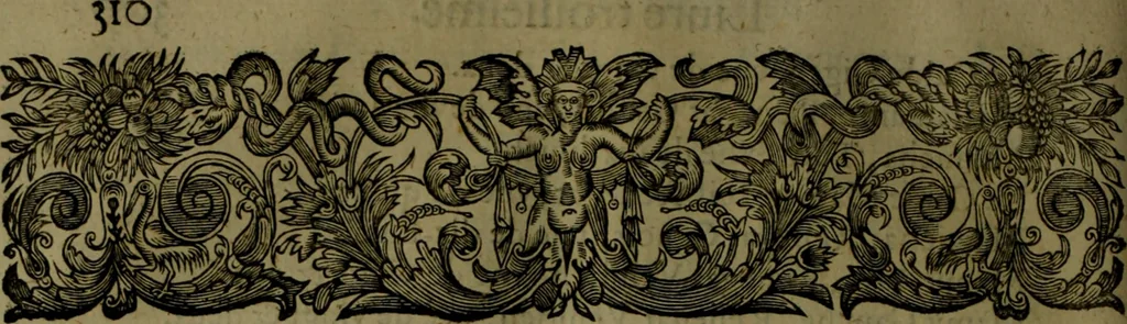 An illustration from Histoire de Barbarie, et de ses Corsaires. Des royavmes, et des villes d'Alger, de Tvnis, de Salé, [et] de Tripoly. Divisée en six livres. Ov il est traitté de levr govvernement, de leurs moeurs, de leurs cruautez, de leurs brigandages, de leurs sortileges, [et] de plusieurs autres particularitez remarquables. Ensemble des grandes miseres et des crvels tourmens qu'endurent les Chrestiens captifs parmy ces infideles, 1649, leaf 353