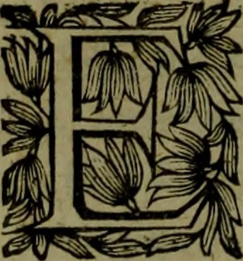 An illustration from Histoire de Barbarie, et de ses Corsaires. Des royavmes, et des villes d'Alger, de Tvnis, de Salé, [et] de Tripoly. Divisée en six livres. Ov il est traitté de levr govvernement, de leurs moeurs, de leurs cruautez, de leurs brigandages, de leurs sortileges, [et] de plusieurs autres particularitez remarquables. Ensemble des grandes miseres et des crvels tourmens qu'endurent les Chrestiens captifs parmy ces infideles, 1649, leaf 353
