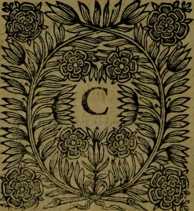 An illustration from Histoire de Barbarie, et de ses Corsaires. Des royavmes, et des villes d'Alger, de Tvnis, de Salé, [et] de Tripoly. Divisée en six livres. Ov il est traitté de levr govvernement, de leurs moeurs, de leurs cruautez, de leurs brigandages, de leurs sortileges, [et] de plusieurs autres particularitez remarquables. Ensemble des grandes miseres et des crvels tourmens qu'endurent les Chrestiens captifs parmy ces infideles, 1649, leaf 359
