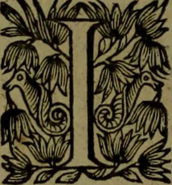 An illustration from Histoire de Barbarie, et de ses Corsaires. Des royavmes, et des villes d'Alger, de Tvnis, de Salé, [et] de Tripoly. Divisée en six livres. Ov il est traitté de levr govvernement, de leurs moeurs, de leurs cruautez, de leurs brigandages, de leurs sortileges, [et] de plusieurs autres particularitez remarquables. Ensemble des grandes miseres et des crvels tourmens qu'endurent les Chrestiens captifs parmy ces infideles, 1649, leaf 365