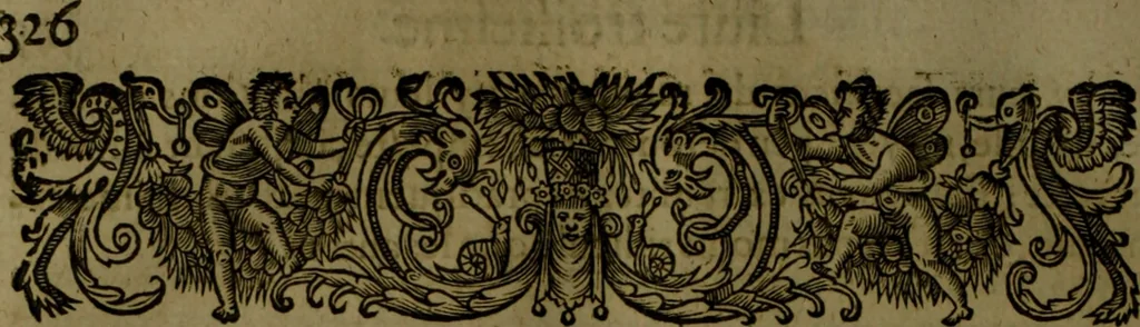 An illustration from Histoire de Barbarie, et de ses Corsaires. Des royavmes, et des villes d'Alger, de Tvnis, de Salé, [et] de Tripoly. Divisée en six livres. Ov il est traitté de levr govvernement, de leurs moeurs, de leurs cruautez, de leurs brigandages, de leurs sortileges, [et] de plusieurs autres particularitez remarquables. Ensemble des grandes miseres et des crvels tourmens qu'endurent les Chrestiens captifs parmy ces infideles, 1649, leaf 369