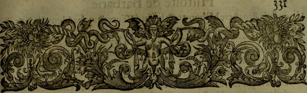 An illustration from Histoire de Barbarie, et de ses Corsaires. Des royavmes, et des villes d'Alger, de Tvnis, de Salé, [et] de Tripoly. Divisée en six livres. Ov il est traitté de levr govvernement, de leurs moeurs, de leurs cruautez, de leurs brigandages, de leurs sortileges, [et] de plusieurs autres particularitez remarquables. Ensemble des grandes miseres et des crvels tourmens qu'endurent les Chrestiens captifs parmy ces infideles, 1649, leaf 374