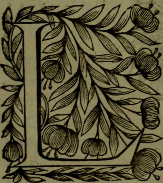 An illustration from Histoire de Barbarie, et de ses Corsaires. Des royavmes, et des villes d'Alger, de Tvnis, de Salé, [et] de Tripoly. Divisée en six livres. Ov il est traitté de levr govvernement, de leurs moeurs, de leurs cruautez, de leurs brigandages, de leurs sortileges, [et] de plusieurs autres particularitez remarquables. Ensemble des grandes miseres et des crvels tourmens qu'endurent les Chrestiens captifs parmy ces infideles, 1649, leaf 374