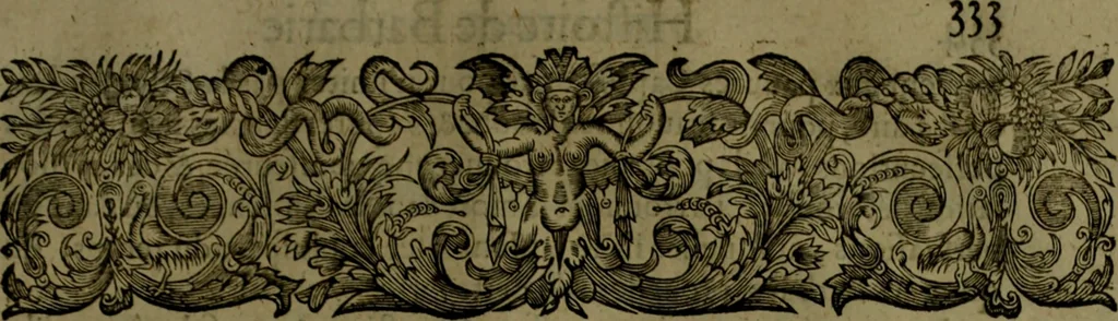An illustration from Histoire de Barbarie, et de ses Corsaires. Des royavmes, et des villes d'Alger, de Tvnis, de Salé, [et] de Tripoly. Divisée en six livres. Ov il est traitté de levr govvernement, de leurs moeurs, de leurs cruautez, de leurs brigandages, de leurs sortileges, [et] de plusieurs autres particularitez remarquables. Ensemble des grandes miseres et des crvels tourmens qu'endurent les Chrestiens captifs parmy ces infideles, 1649, leaf 376