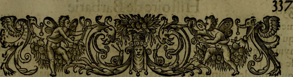An illustration from Histoire de Barbarie, et de ses Corsaires. Des royavmes, et des villes d'Alger, de Tvnis, de Salé, [et] de Tripoly. Divisée en six livres. Ov il est traitté de levr govvernement, de leurs moeurs, de leurs cruautez, de leurs brigandages, de leurs sortileges, [et] de plusieurs autres particularitez remarquables. Ensemble des grandes miseres et des crvels tourmens qu'endurent les Chrestiens captifs parmy ces infideles, 1649, leaf 380