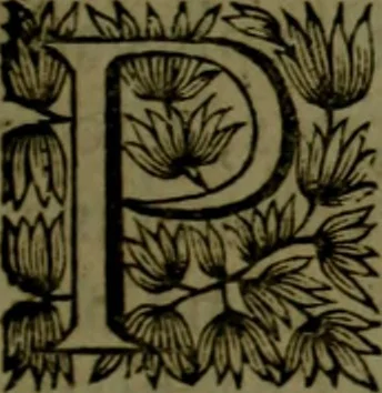 An illustration from Histoire de Barbarie, et de ses Corsaires. Des royavmes, et des villes d'Alger, de Tvnis, de Salé, [et] de Tripoly. Divisée en six livres. Ov il est traitté de levr govvernement, de leurs moeurs, de leurs cruautez, de leurs brigandages, de leurs sortileges, [et] de plusieurs autres particularitez remarquables. Ensemble des grandes miseres et des crvels tourmens qu'endurent les Chrestiens captifs parmy ces infideles, 1649, leaf 380