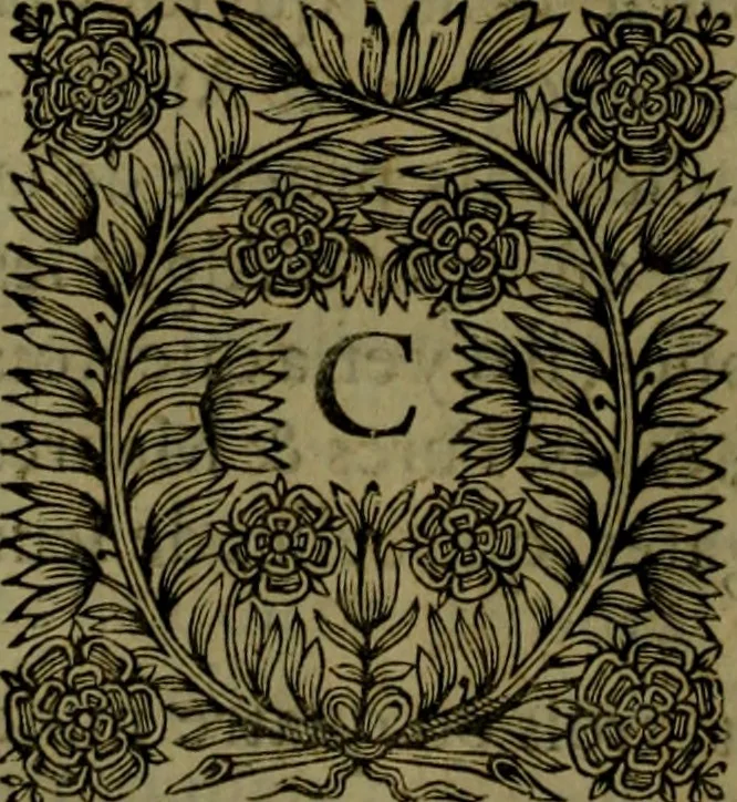 An illustration from Histoire de Barbarie, et de ses Corsaires. Des royavmes, et des villes d'Alger, de Tvnis, de Salé, [et] de Tripoly. Divisée en six livres. Ov il est traitté de levr govvernement, de leurs moeurs, de leurs cruautez, de leurs brigandages, de leurs sortileges, [et] de plusieurs autres particularitez remarquables. Ensemble des grandes miseres et des crvels tourmens qu'endurent les Chrestiens captifs parmy ces infideles, 1649, leaf 385