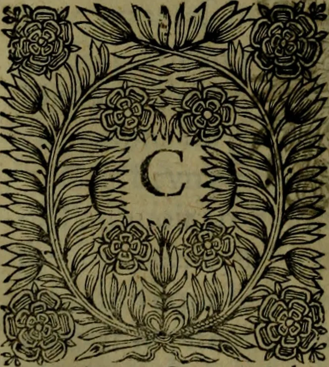 An illustration from Histoire de Barbarie, et de ses Corsaires. Des royavmes, et des villes d'Alger, de Tvnis, de Salé, [et] de Tripoly. Divisée en six livres. Ov il est traitté de levr govvernement, de leurs moeurs, de leurs cruautez, de leurs brigandages, de leurs sortileges, [et] de plusieurs autres particularitez remarquables. Ensemble des grandes miseres et des crvels tourmens qu'endurent les Chrestiens captifs parmy ces infideles, 1649, leaf 391