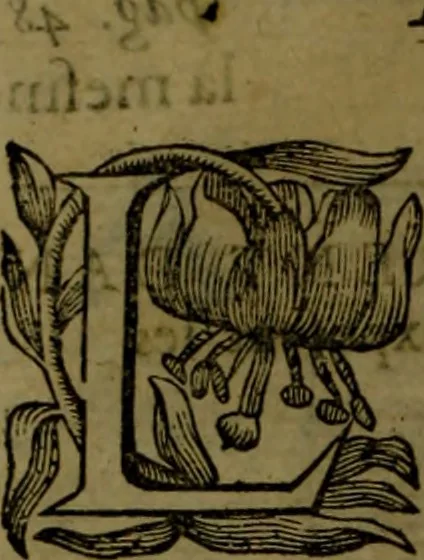 An illustration from Histoire de Barbarie, et de ses Corsaires. Des royavmes, et des villes d'Alger, de Tvnis, de Salé, [et] de Tripoly. Divisée en six livres. Ov il est traitté de levr govvernement, de leurs moeurs, de leurs cruautez, de leurs brigandages, de leurs sortileges, [et] de plusieurs autres particularitez remarquables. Ensemble des grandes miseres et des crvels tourmens qu'endurent les Chrestiens captifs parmy ces infideles, 1649, leaf 41