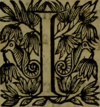 An illustration from Histoire de Barbarie, et de ses Corsaires. Des royavmes, et des villes d'Alger, de Tvnis, de Salé, [et] de Tripoly. Divisée en six livres. Ov il est traitté de levr govvernement, de leurs moeurs, de leurs cruautez, de leurs brigandages, de leurs sortileges, [et] de plusieurs autres particularitez remarquables. Ensemble des grandes miseres et des crvels tourmens qu'endurent les Chrestiens captifs parmy ces infideles, 1649, leaf 413