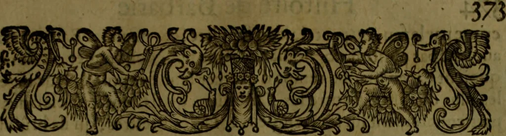 An illustration from Histoire de Barbarie, et de ses Corsaires. Des royavmes, et des villes d'Alger, de Tvnis, de Salé, [et] de Tripoly. Divisée en six livres. Ov il est traitté de levr govvernement, de leurs moeurs, de leurs cruautez, de leurs brigandages, de leurs sortileges, [et] de plusieurs autres particularitez remarquables. Ensemble des grandes miseres et des crvels tourmens qu'endurent les Chrestiens captifs parmy ces infideles, 1649, leaf 416