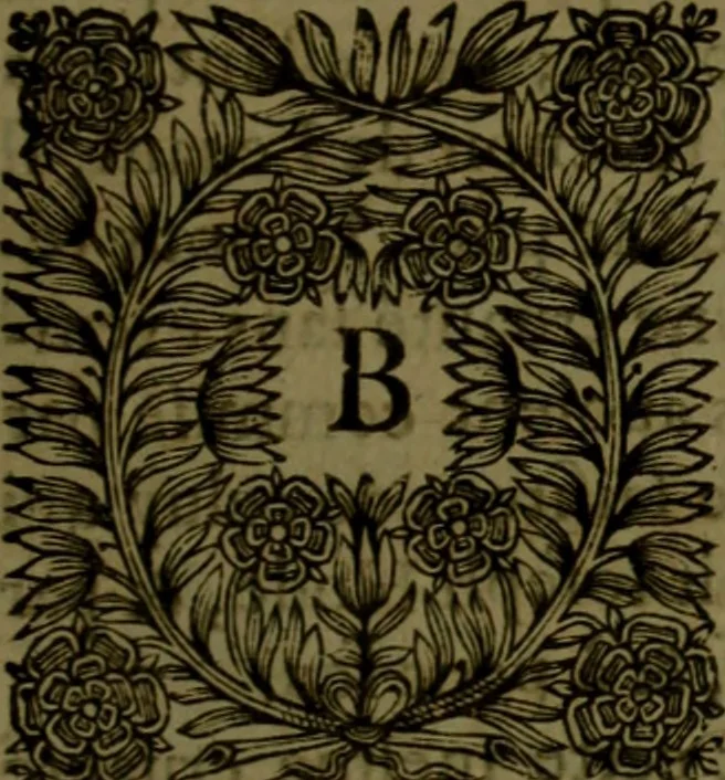 An illustration from Histoire de Barbarie, et de ses Corsaires. Des royavmes, et des villes d'Alger, de Tvnis, de Salé, [et] de Tripoly. Divisée en six livres. Ov il est traitté de levr govvernement, de leurs moeurs, de leurs cruautez, de leurs brigandages, de leurs sortileges, [et] de plusieurs autres particularitez remarquables. Ensemble des grandes miseres et des crvels tourmens qu'endurent les Chrestiens captifs parmy ces infideles, 1649, leaf 416