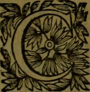 An illustration from Histoire de Barbarie, et de ses Corsaires. Des royavmes, et des villes d'Alger, de Tvnis, de Salé, [et] de Tripoly. Divisée en six livres. Ov il est traitté de levr govvernement, de leurs moeurs, de leurs cruautez, de leurs brigandages, de leurs sortileges, [et] de plusieurs autres particularitez remarquables. Ensemble des grandes miseres et des crvels tourmens qu'endurent les Chrestiens captifs parmy ces infideles, 1649, leaf 418