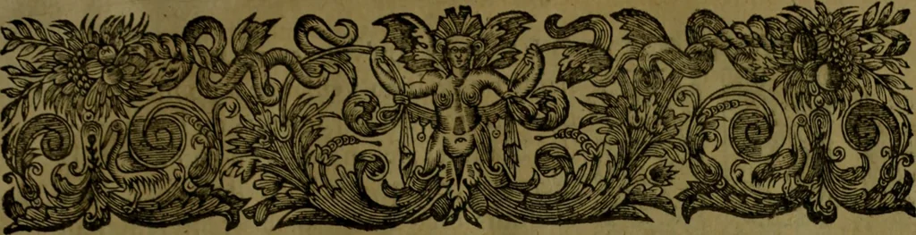 An illustration from Histoire de Barbarie, et de ses Corsaires. Des royavmes, et des villes d'Alger, de Tvnis, de Salé, [et] de Tripoly. Divisée en six livres. Ov il est traitté de levr govvernement, de leurs moeurs, de leurs cruautez, de leurs brigandages, de leurs sortileges, [et] de plusieurs autres particularitez remarquables. Ensemble des grandes miseres et des crvels tourmens qu'endurent les Chrestiens captifs parmy ces infideles, 1649, leaf 42