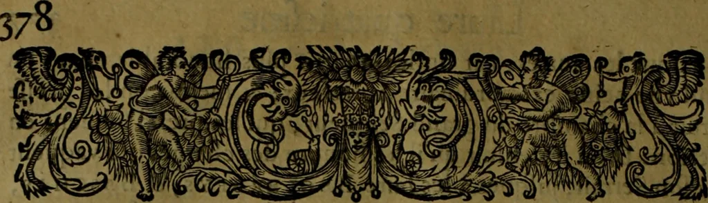 An illustration from Histoire de Barbarie, et de ses Corsaires. Des royavmes, et des villes d'Alger, de Tvnis, de Salé, [et] de Tripoly. Divisée en six livres. Ov il est traitté de levr govvernement, de leurs moeurs, de leurs cruautez, de leurs brigandages, de leurs sortileges, [et] de plusieurs autres particularitez remarquables. Ensemble des grandes miseres et des crvels tourmens qu'endurent les Chrestiens captifs parmy ces infideles, 1649, leaf 421
