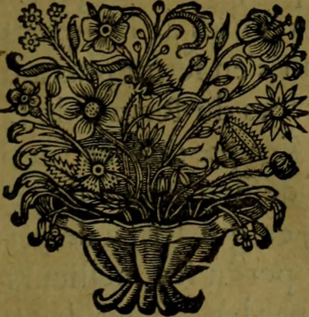 An illustration from Histoire de Barbarie, et de ses Corsaires. Des royavmes, et des villes d'Alger, de Tvnis, de Salé, [et] de Tripoly. Divisée en six livres. Ov il est traitté de levr govvernement, de leurs moeurs, de leurs cruautez, de leurs brigandages, de leurs sortileges, [et] de plusieurs autres particularitez remarquables. Ensemble des grandes miseres et des crvels tourmens qu'endurent les Chrestiens captifs parmy ces infideles, 1649, leaf 424