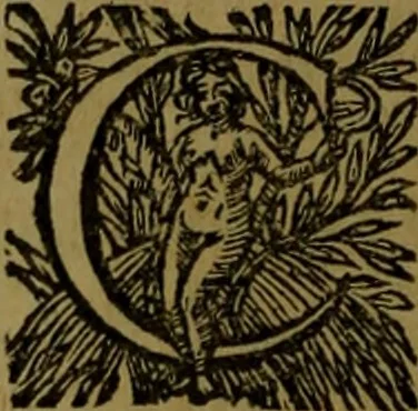 An illustration from Histoire de Barbarie, et de ses Corsaires. Des royavmes, et des villes d'Alger, de Tvnis, de Salé, [et] de Tripoly. Divisée en six livres. Ov il est traitté de levr govvernement, de leurs moeurs, de leurs cruautez, de leurs brigandages, de leurs sortileges, [et] de plusieurs autres particularitez remarquables. Ensemble des grandes miseres et des crvels tourmens qu'endurent les Chrestiens captifs parmy ces infideles, 1649, leaf 425