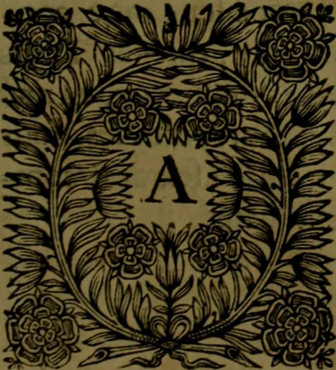 An illustration from Histoire de Barbarie, et de ses Corsaires. Des royavmes, et des villes d'Alger, de Tvnis, de Salé, [et] de Tripoly. Divisée en six livres. Ov il est traitté de levr govvernement, de leurs moeurs, de leurs cruautez, de leurs brigandages, de leurs sortileges, [et] de plusieurs autres particularitez remarquables. Ensemble des grandes miseres et des crvels tourmens qu'endurent les Chrestiens captifs parmy ces infideles, 1649, leaf 428