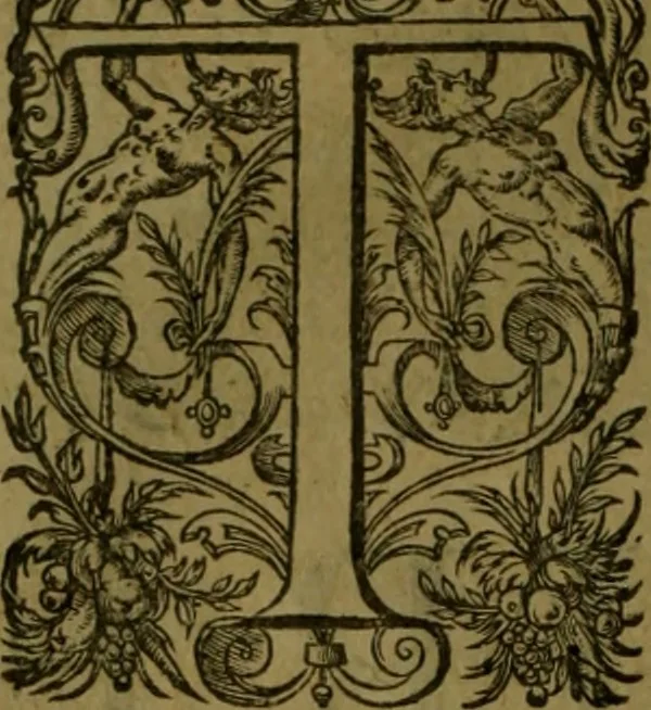 An illustration from Histoire de Barbarie, et de ses Corsaires. Des royavmes, et des villes d'Alger, de Tvnis, de Salé, [et] de Tripoly. Divisée en six livres. Ov il est traitté de levr govvernement, de leurs moeurs, de leurs cruautez, de leurs brigandages, de leurs sortileges, [et] de plusieurs autres particularitez remarquables. Ensemble des grandes miseres et des crvels tourmens qu'endurent les Chrestiens captifs parmy ces infideles, 1649, leaf 43