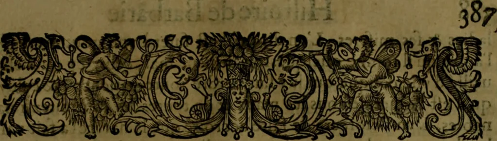 An illustration from Histoire de Barbarie, et de ses Corsaires. Des royavmes, et des villes d'Alger, de Tvnis, de Salé, [et] de Tripoly. Divisée en six livres. Ov il est traitté de levr govvernement, de leurs moeurs, de leurs cruautez, de leurs brigandages, de leurs sortileges, [et] de plusieurs autres particularitez remarquables. Ensemble des grandes miseres et des crvels tourmens qu'endurent les Chrestiens captifs parmy ces infideles, 1649, leaf 430