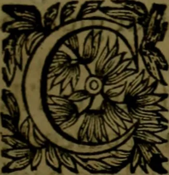 An illustration from Histoire de Barbarie, et de ses Corsaires. Des royavmes, et des villes d'Alger, de Tvnis, de Salé, [et] de Tripoly. Divisée en six livres. Ov il est traitté de levr govvernement, de leurs moeurs, de leurs cruautez, de leurs brigandages, de leurs sortileges, [et] de plusieurs autres particularitez remarquables. Ensemble des grandes miseres et des crvels tourmens qu'endurent les Chrestiens captifs parmy ces infideles, 1649, leaf 430