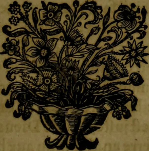 An illustration from Histoire de Barbarie, et de ses Corsaires. Des royavmes, et des villes d'Alger, de Tvnis, de Salé, [et] de Tripoly. Divisée en six livres. Ov il est traitté de levr govvernement, de leurs moeurs, de leurs cruautez, de leurs brigandages, de leurs sortileges, [et] de plusieurs autres particularitez remarquables. Ensemble des grandes miseres et des crvels tourmens qu'endurent les Chrestiens captifs parmy ces infideles, 1649, leaf 436