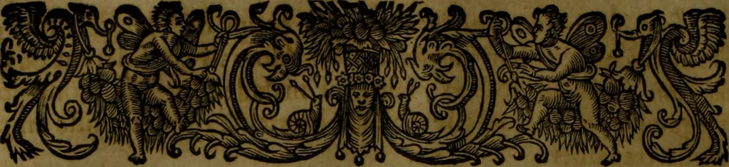 An illustration from Histoire de Barbarie, et de ses Corsaires. Des royavmes, et des villes d'Alger, de Tvnis, de Salé, [et] de Tripoly. Divisée en six livres. Ov il est traitté de levr govvernement, de leurs moeurs, de leurs cruautez, de leurs brigandages, de leurs sortileges, [et] de plusieurs autres particularitez remarquables. Ensemble des grandes miseres et des crvels tourmens qu'endurent les Chrestiens captifs parmy ces infideles, 1649, leaf 437