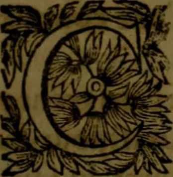 An illustration from Histoire de Barbarie, et de ses Corsaires. Des royavmes, et des villes d'Alger, de Tvnis, de Salé, [et] de Tripoly. Divisée en six livres. Ov il est traitté de levr govvernement, de leurs moeurs, de leurs cruautez, de leurs brigandages, de leurs sortileges, [et] de plusieurs autres particularitez remarquables. Ensemble des grandes miseres et des crvels tourmens qu'endurent les Chrestiens captifs parmy ces infideles, 1649, leaf 444