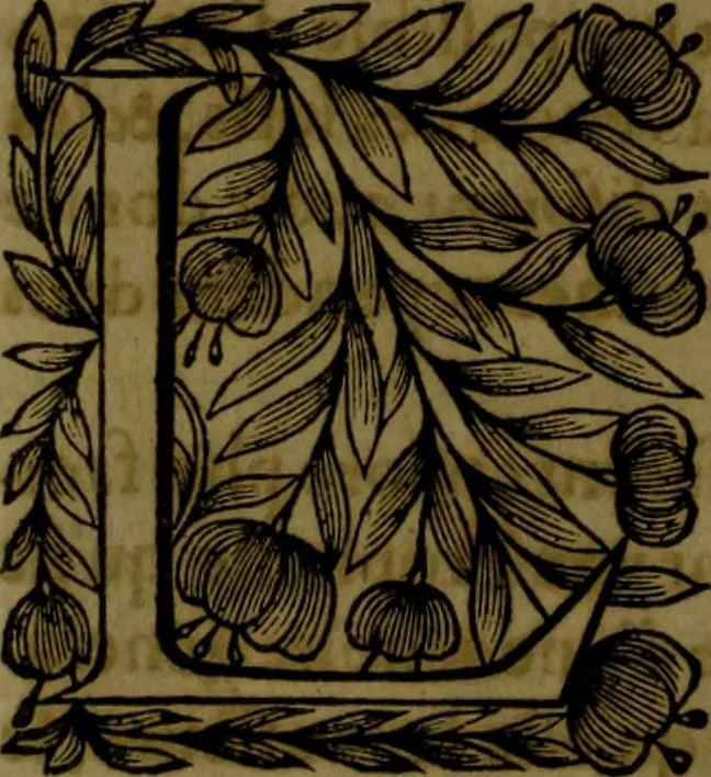 An illustration from Histoire de Barbarie, et de ses Corsaires. Des royavmes, et des villes d'Alger, de Tvnis, de Salé, [et] de Tripoly. Divisée en six livres. Ov il est traitté de levr govvernement, de leurs moeurs, de leurs cruautez, de leurs brigandages, de leurs sortileges, [et] de plusieurs autres particularitez remarquables. Ensemble des grandes miseres et des crvels tourmens qu'endurent les Chrestiens captifs parmy ces infideles, 1649, leaf 447